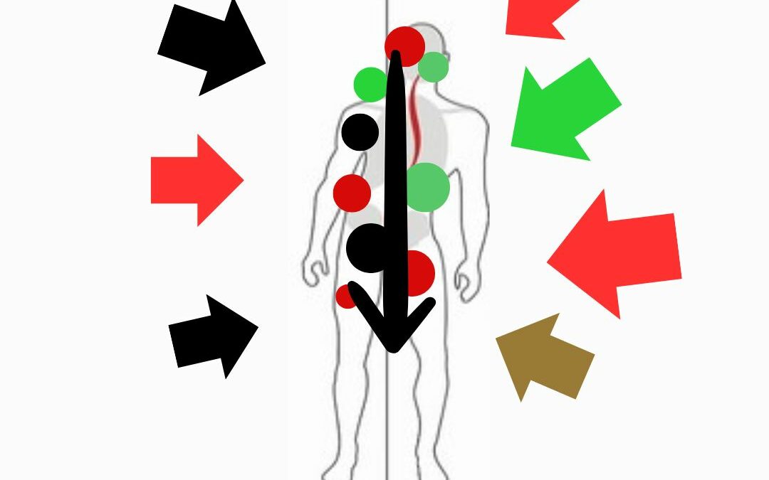 Comment l&rsquo;environnement façonne nos émotions et nos réactions comportementales ?